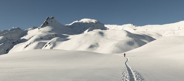 Comment choisir une cabane au Canada avec des excursions guidées pour l'observation des ours?